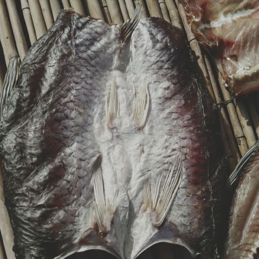 仙桃市腊鱼  草鱼块