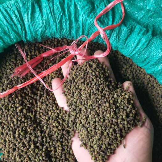 融水县 中花吴茱萸无裂口