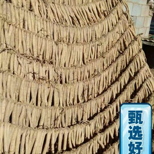 临洮县 售卖党参，无琉，天然农民自家种植