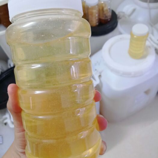 柳州洋槐蜜  延安洋槐蜜，花香味浓厚孕妇儿童食用