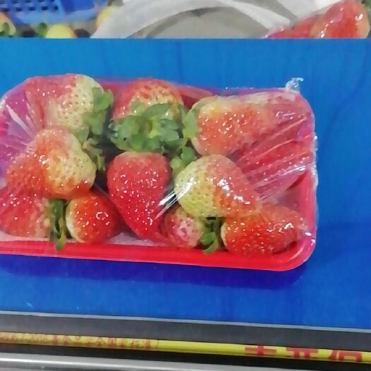 会泽县新鲜草莓