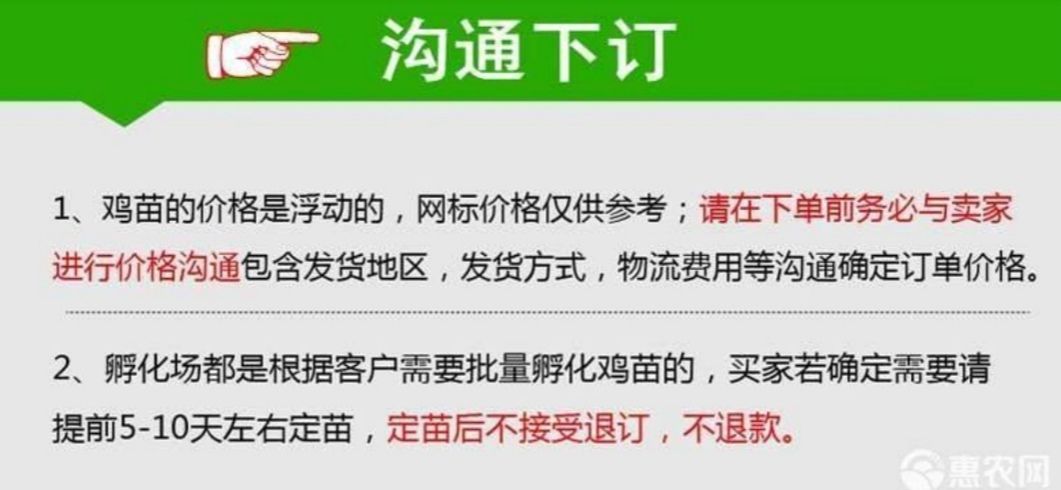 五黑鸡苗  黑乌鸡脱温苗，疫苗齐全，路损包赔
