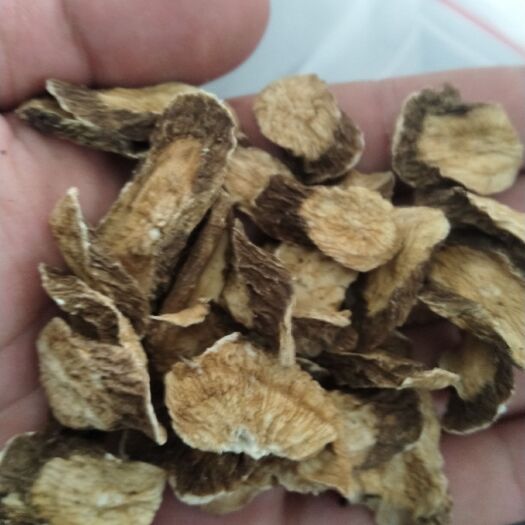 兰陵县 牛蒡干  烘干   生片  熟片  大量有货