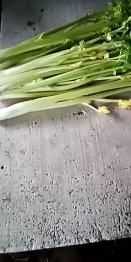  马家沟芹菜，芹菜心，礼品盒，自己家种的，无筋脆甜口感好