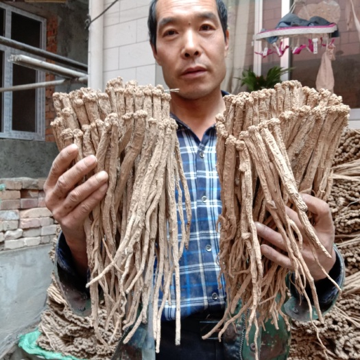 礼县纹党参 产地直销 一手货源