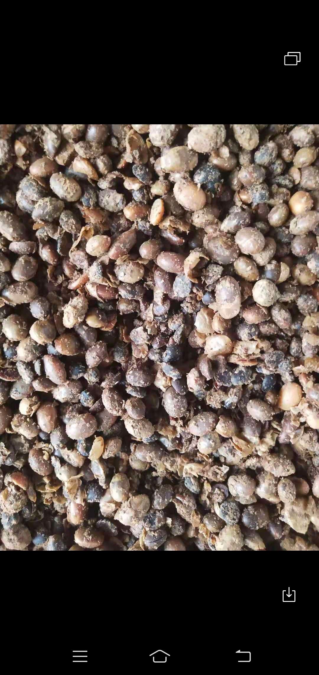 莱阳市酒糟肥料 益生菌发酵大豆，适用于任何农作物，能快速吸收，还是养地大王！
