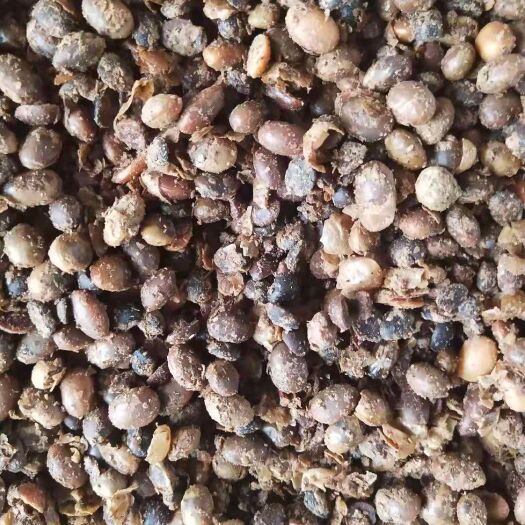 莱阳市酒糟肥料 益生菌发酵大豆，适用于任何农作物，能快速吸收，还是养地大王！