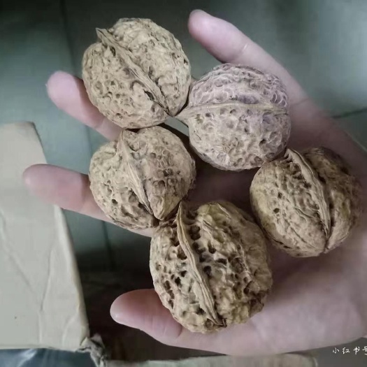 永平县 云南正宗纯野生核桃