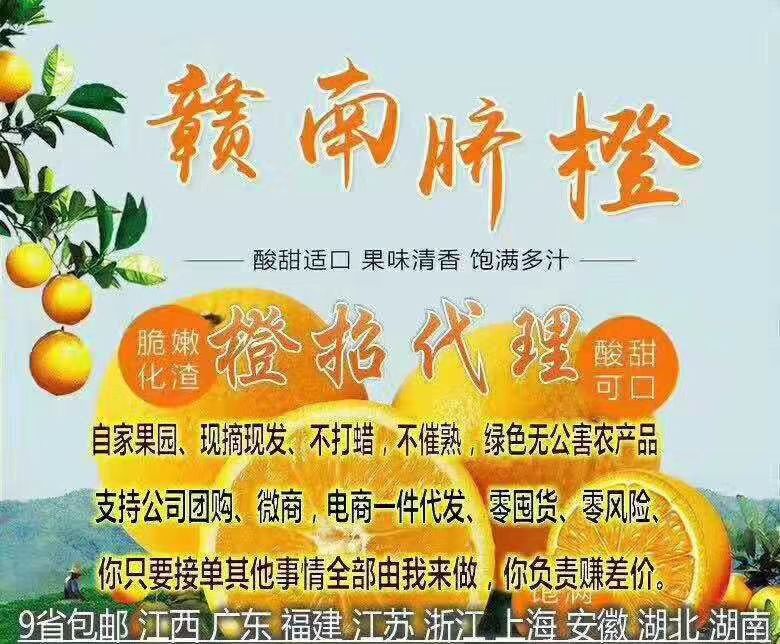 赣南脐橙 正宗赣南高山脐橙甜橙子 橘子一件代发10斤包邮