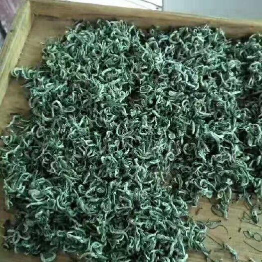 湄潭县 都匀毛尖