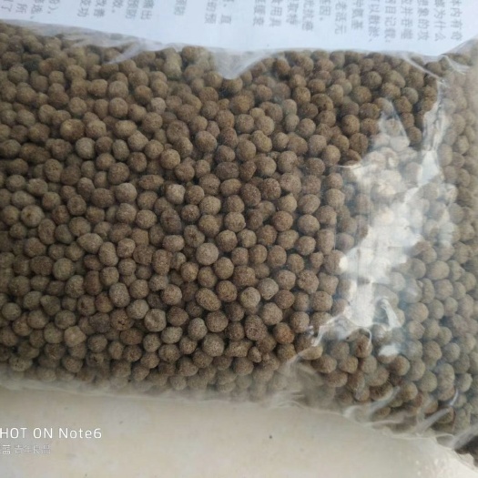 成都美洲大蠊 天然美洲大螊精粉水丸 蜜丸