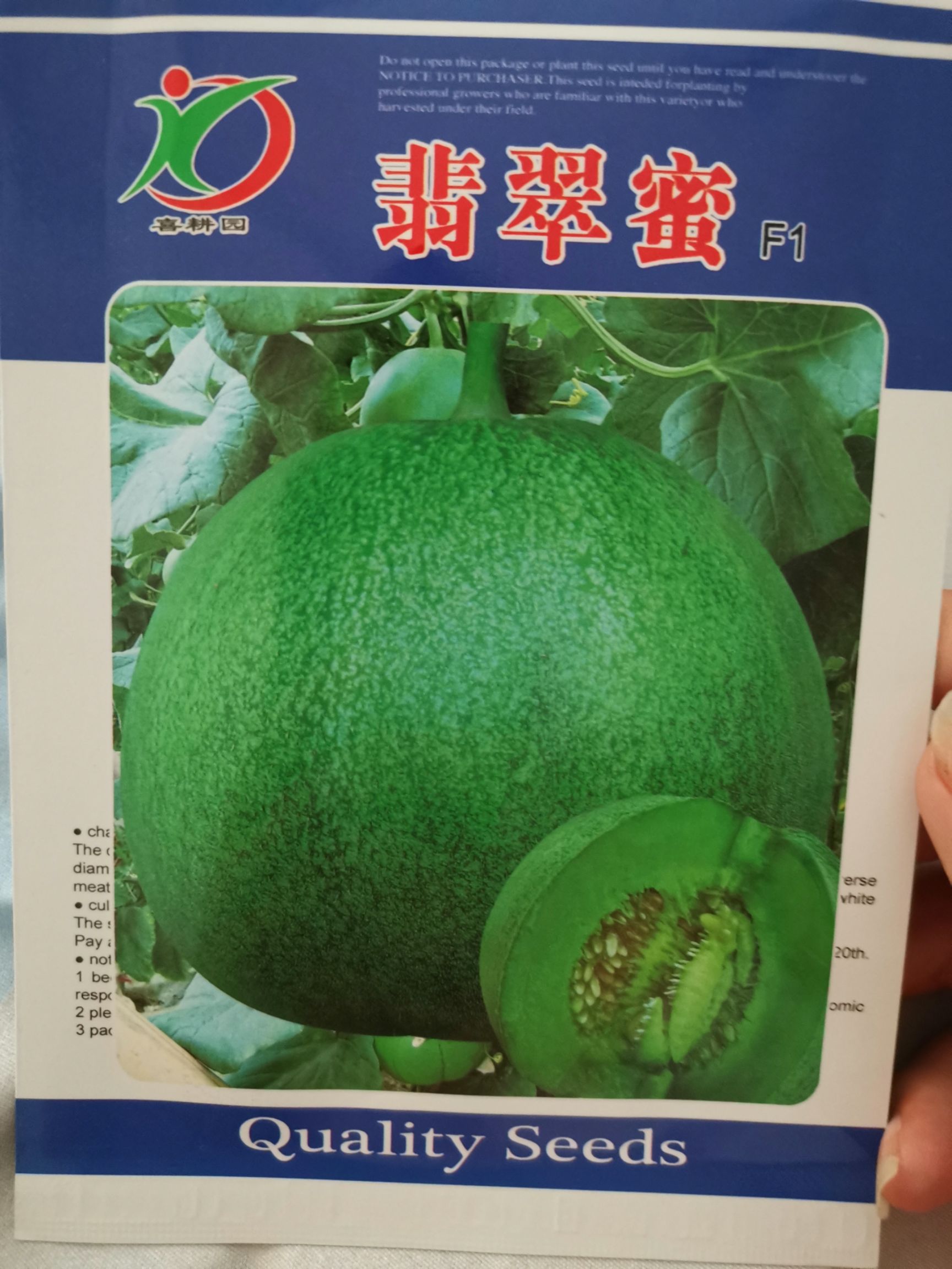 郑州 翡翠蜜甜瓜种子，甜度高，品质好