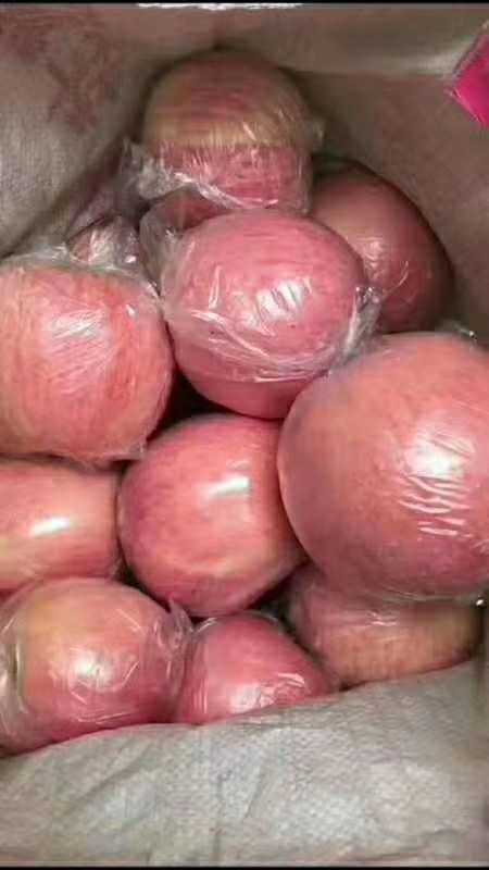 临猗县红富士苹果 纸加膜