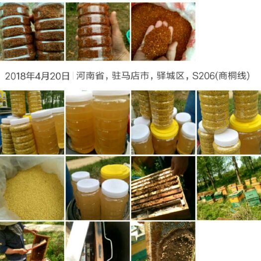 房县 天然蜂蜜！！！120元一公斤