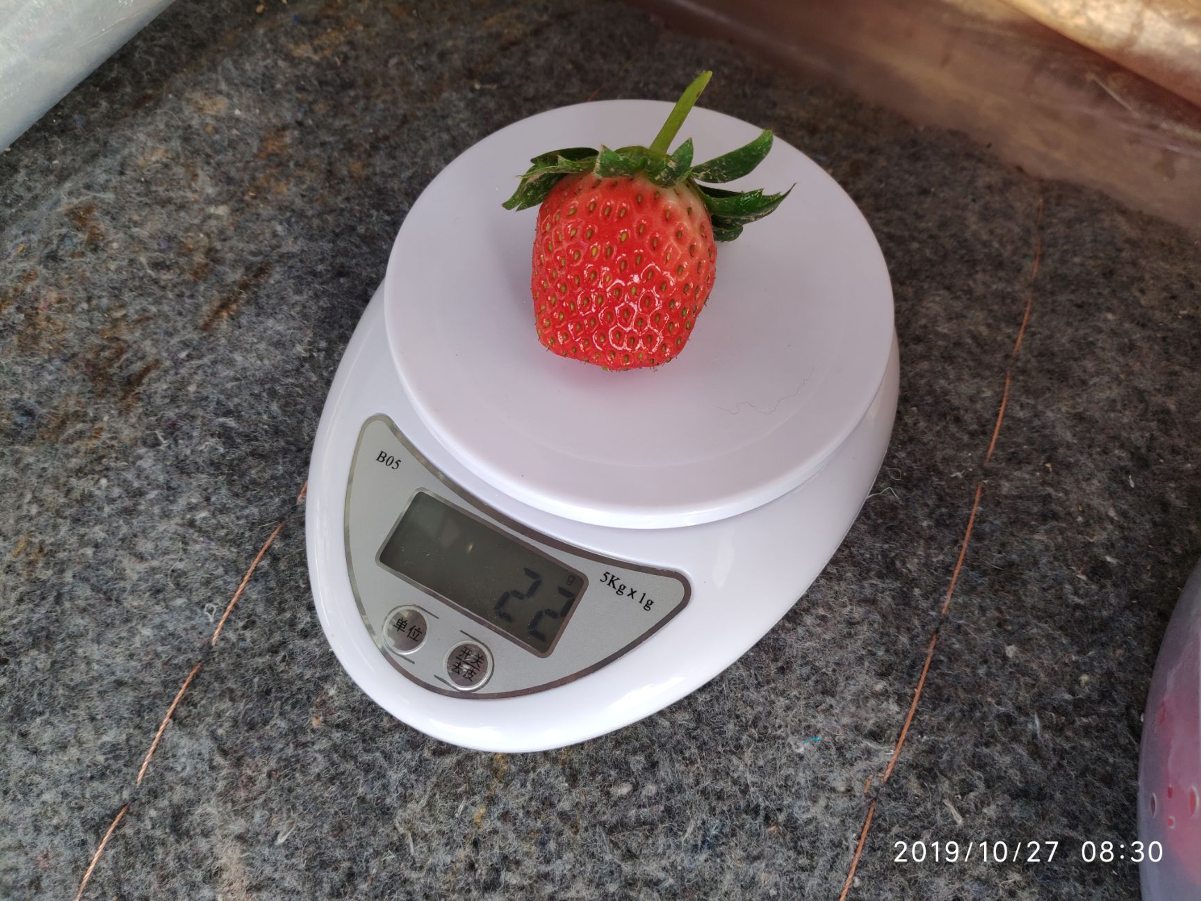 甜宝草莓 保质保量  可代加工  代包装  代发货  产品甜度高