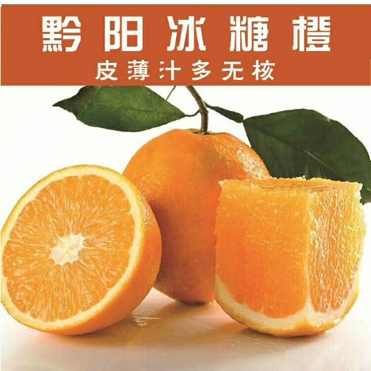 洪江市冰糖橙 纯脆香甜,浑然天“橙”。