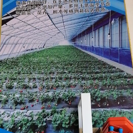 天津垫膜带 大棚钢材