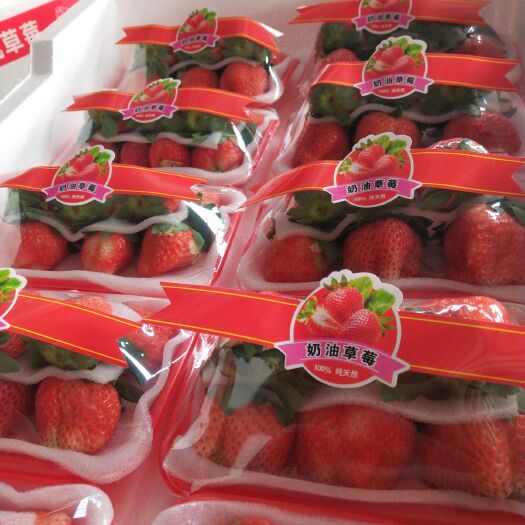 徐州红颜草莓  奶油草莓，宁玉妙香大量上市价格下滑