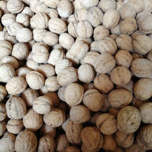 合阳县薄皮核桃 20mm以上 去皮 散装