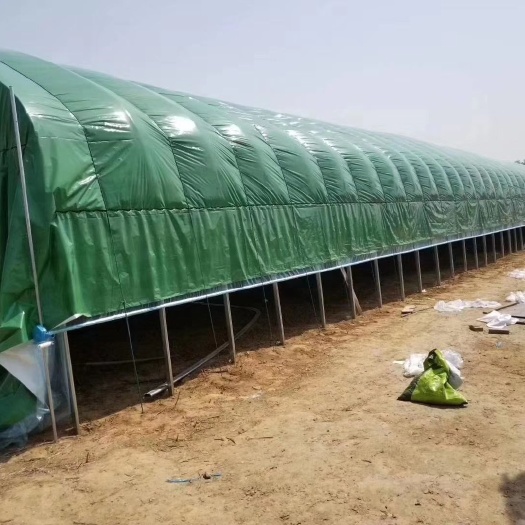 天津养殖大棚专用包塑椭圆管，种植大棚专用镀锌钢管