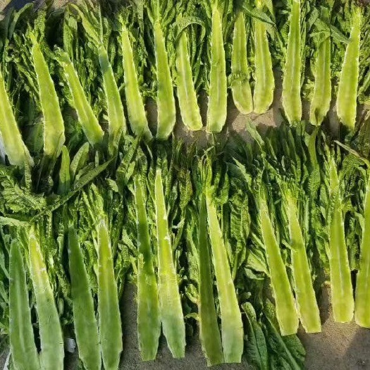 莴笋质量要求，笋肉绿色无空心，红香叶，三青都可以代销