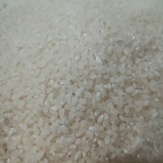 开封 黄金晴大米