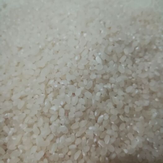 开封 黄金晴大米