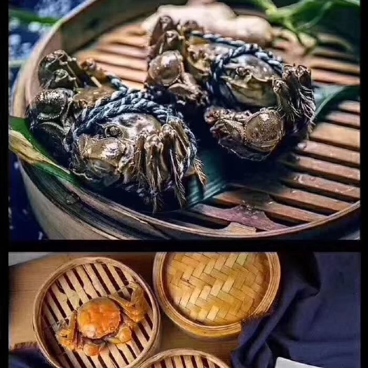 汈汊湖螃蟹 湖北汉川汈汊湖精品大闸蟹