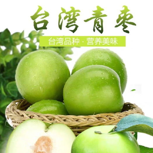 平邑县 枣树苗，大青枣嫁接苗，包成活保纯度死苗补发今日爆款