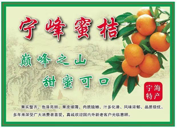 象山县红美人柑桔 千亩高山桔园，大棚红美人
