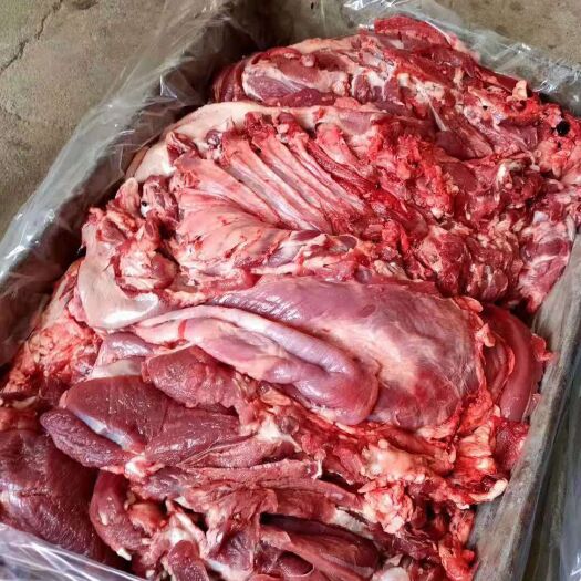 阳信县羊肉类 生肉