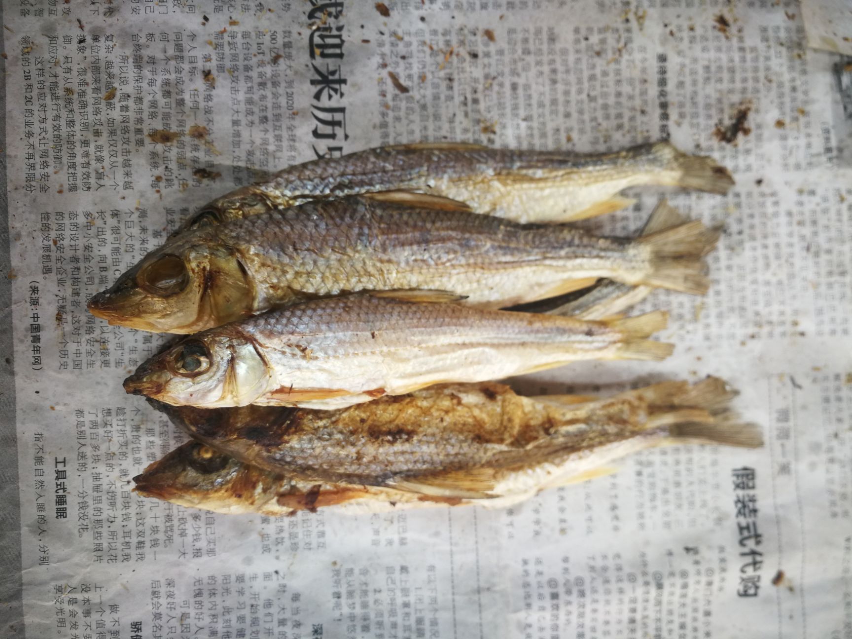 刁子魚干 江西贛州上猶溪水魚干淡水魚無鹽魚干一件代發(fā)