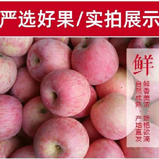 临猗县红富士苹果 红富士分外甜，又脆又鲜，
