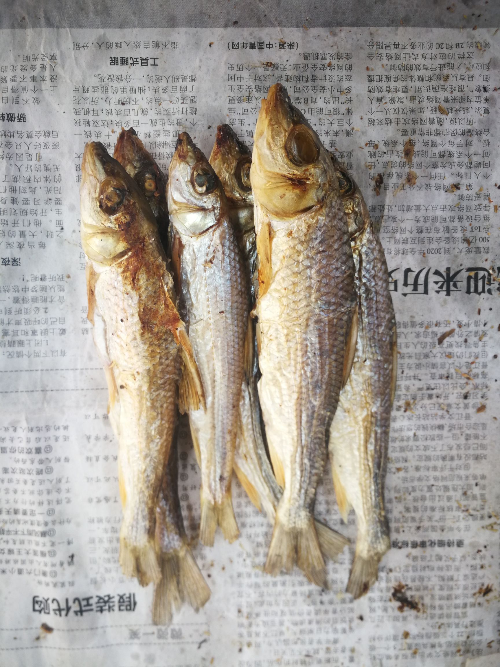 刁子魚干 江西贛州上猶溪水魚干淡水魚無鹽魚干一件代發(fā)