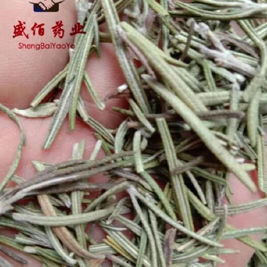 亳州迷迭香，国产迷迭香，