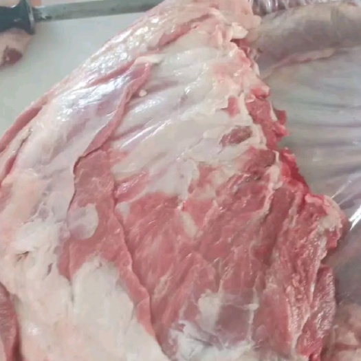 阳信县羊排 生肉