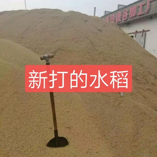 凌海市东北大米