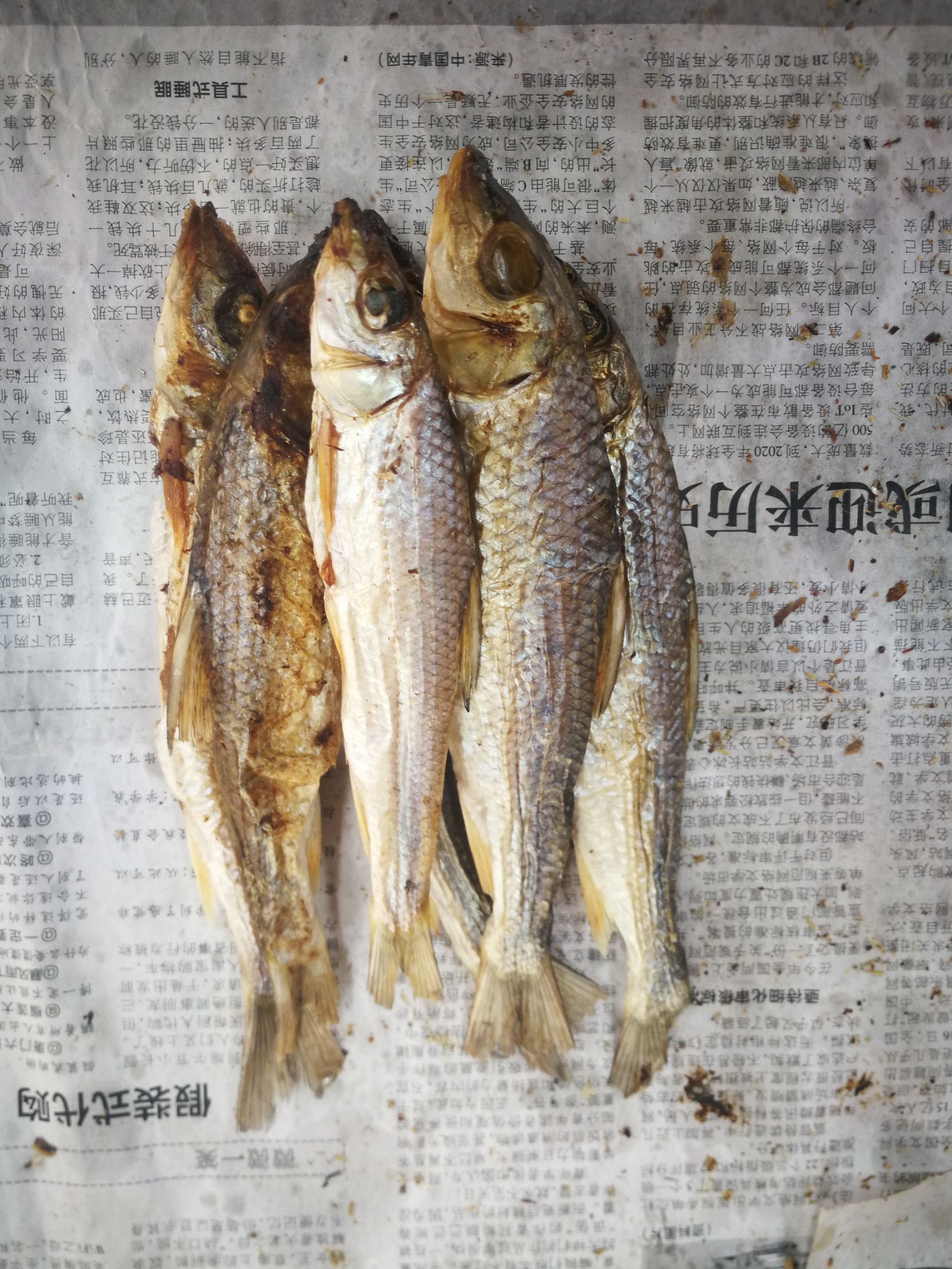 刁子魚干 江西贛州上猶溪水魚干淡水魚無鹽魚干一件代發(fā)