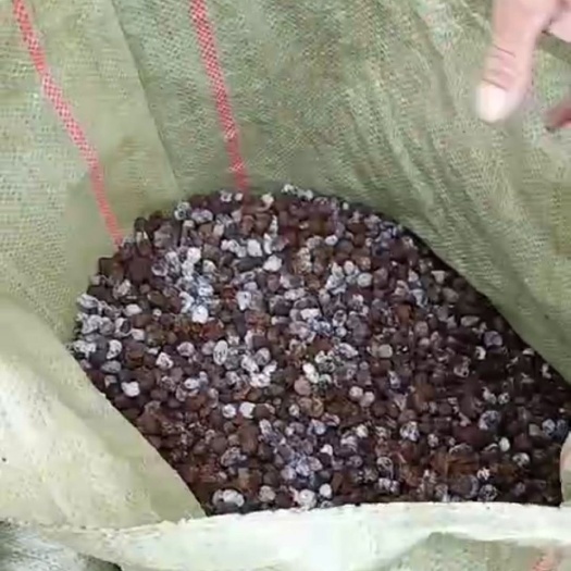 巢湖 纯有机发酵的羊粪
