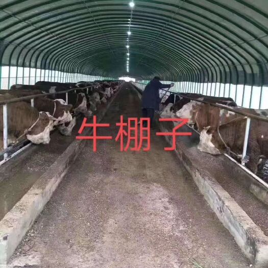 沭阳县 养殖大棚厂家直销
