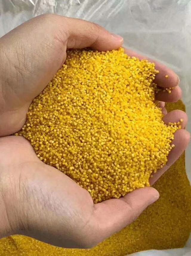  金乡马庙金谷小米   2019年新小米   质量保证