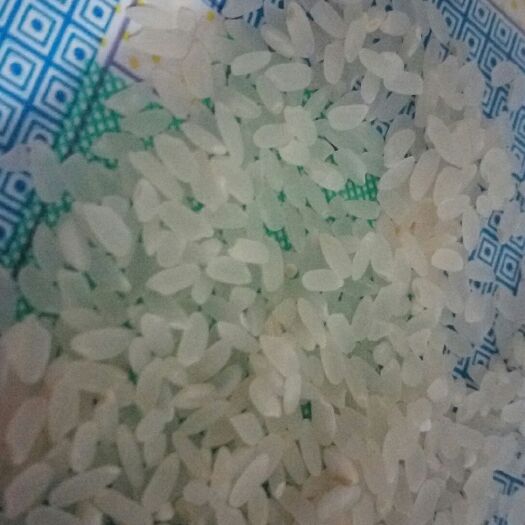镇赉县 东北农家自家吃的大米 大米入口香 有淡淡的甜味