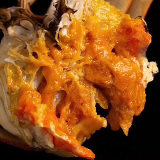苏州阳澄湖镇大闸蟹  自产自销肉质饱满味道鲜美产地直发 量多私聊有防伪溯源码