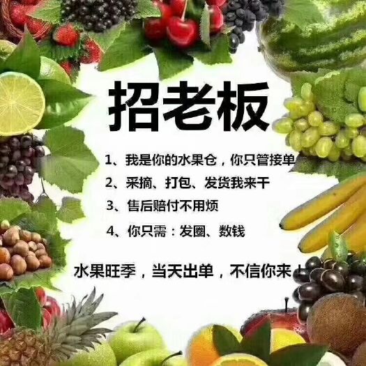 寻乌县赣南脐橙 可根据客户要求安排 根据客户要求定装