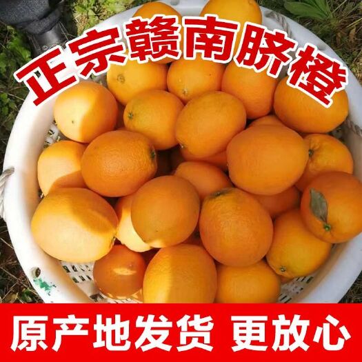 石城县正宗赣南脐橙大果10斤一件代发新鲜水果