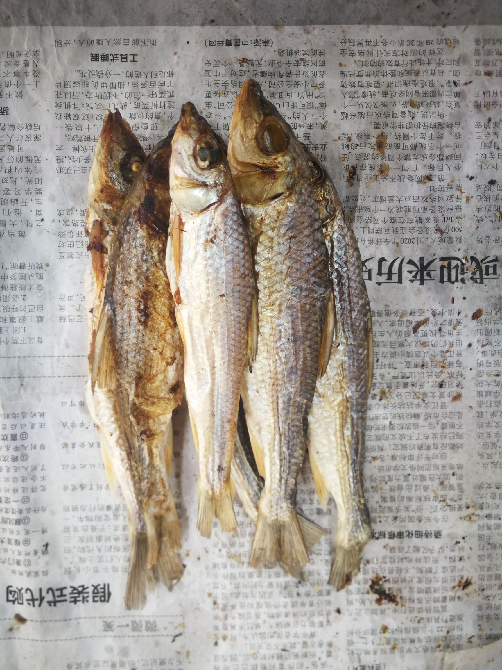 刁子魚干 江西贛州上猶溪水魚干淡水魚無鹽魚干一件代發(fā)