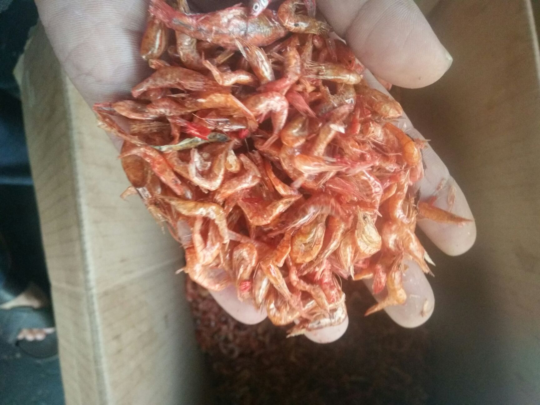 赣州淡水虾干，非染色虾 ，干度好。烤虾