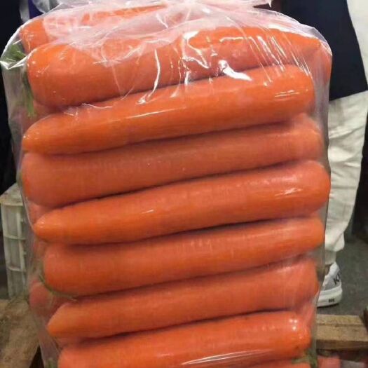 开封 精品胡萝卜