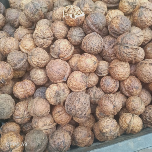清镇市贵州核桃 26~30mm 去皮 袋装