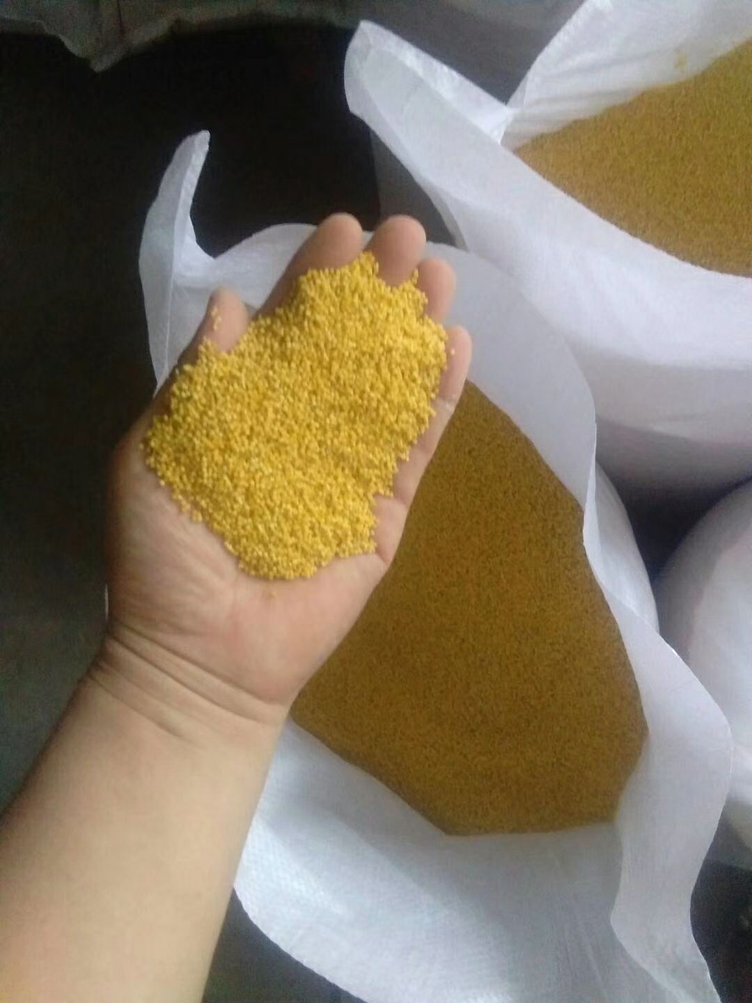  金乡马庙金谷小米   2019年新小米   质量保证